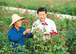 海南省三亞市亞龍灣國際玫瑰谷：既是精品農莊，也是獲總書記贊賞的玫瑰天堂