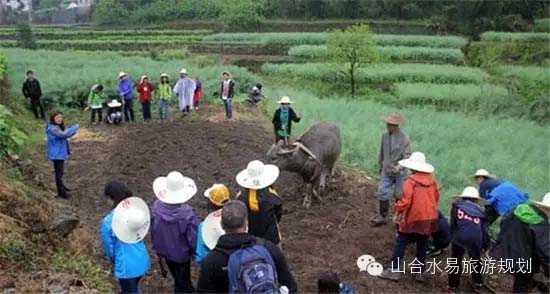 休閑農(nóng)業(yè)+文化，助力鄉(xiāng)村旅游“品味”升級!