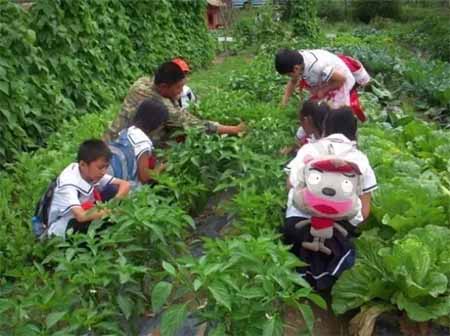 休閑農(nóng)業(yè)規(guī)劃,農(nóng)業(yè)旅游規(guī)劃,田園綜合體規(guī)劃