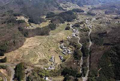 日本大叔進(jìn)深山5年，梯田恢復(fù)數(shù)量高達(dá)1600塊!