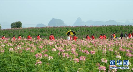 春節(jié)期間全國共接待游客3.44億人次，全域旅游引領(lǐng)旅游供給