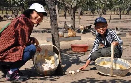 休閑農業(yè)規(guī)劃,農業(yè)旅游規(guī)劃,田園綜合體規(guī)劃