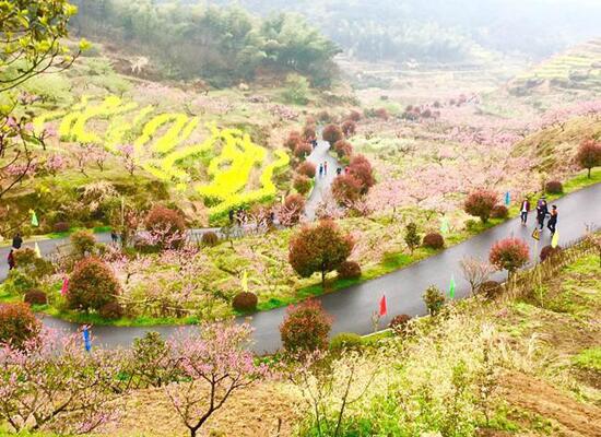 鄉(xiāng)村旅游投資